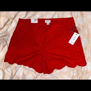 New Crown & Ivy Scalloped Shorts